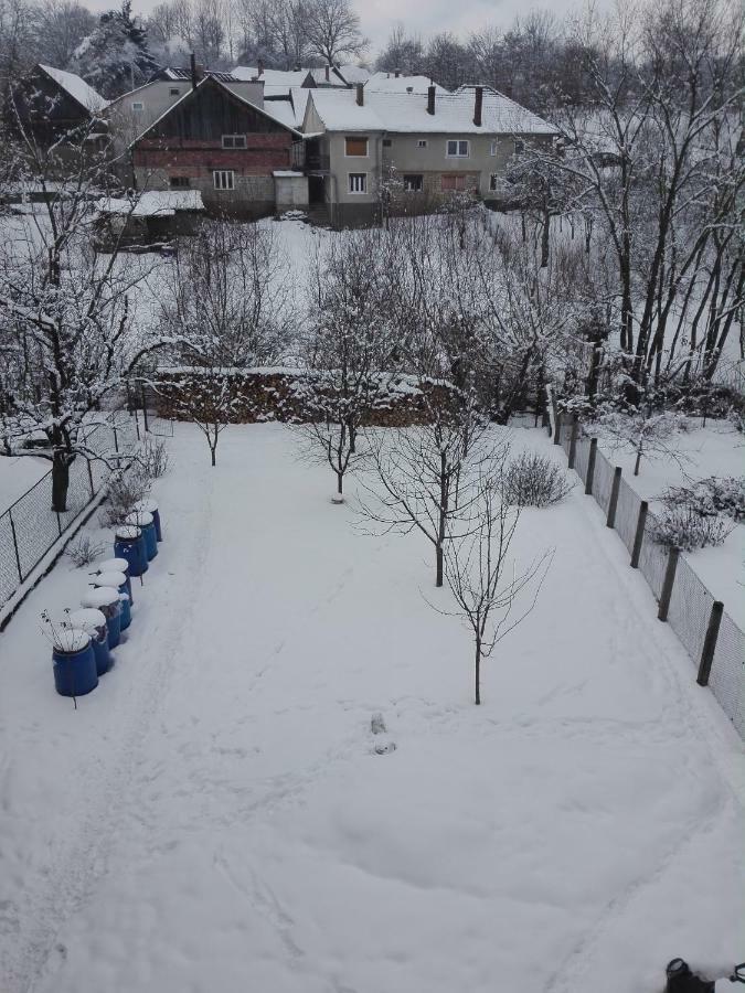 Kalotaszeg Vendeghaz Hotel Izvoru Crisului Luaran gambar